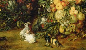 Neitsyt ja lapsi hedelmien ja kukkien seppeleessä, yksityiskohta eläimistä, n. 1614-18 (yksityiskohta 36912)